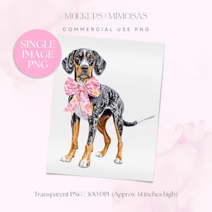 Bluetick Coonhound. Staand. Hond met chinoiserieroze preppy strik clipart. Transparante png.