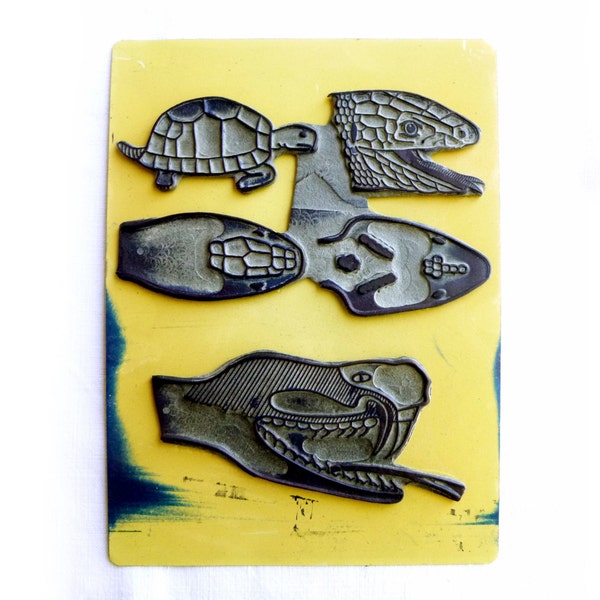 School stamp vintage rubber reptile snake tortoise Viper snake lizard Anatomy of head - old Board natural sciences
