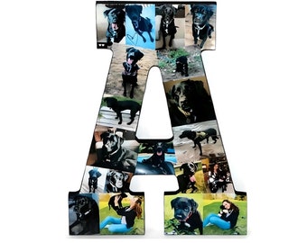 photo letter collage, personalized initial picture gift, 33cm, birthday collage, collage dorm decor