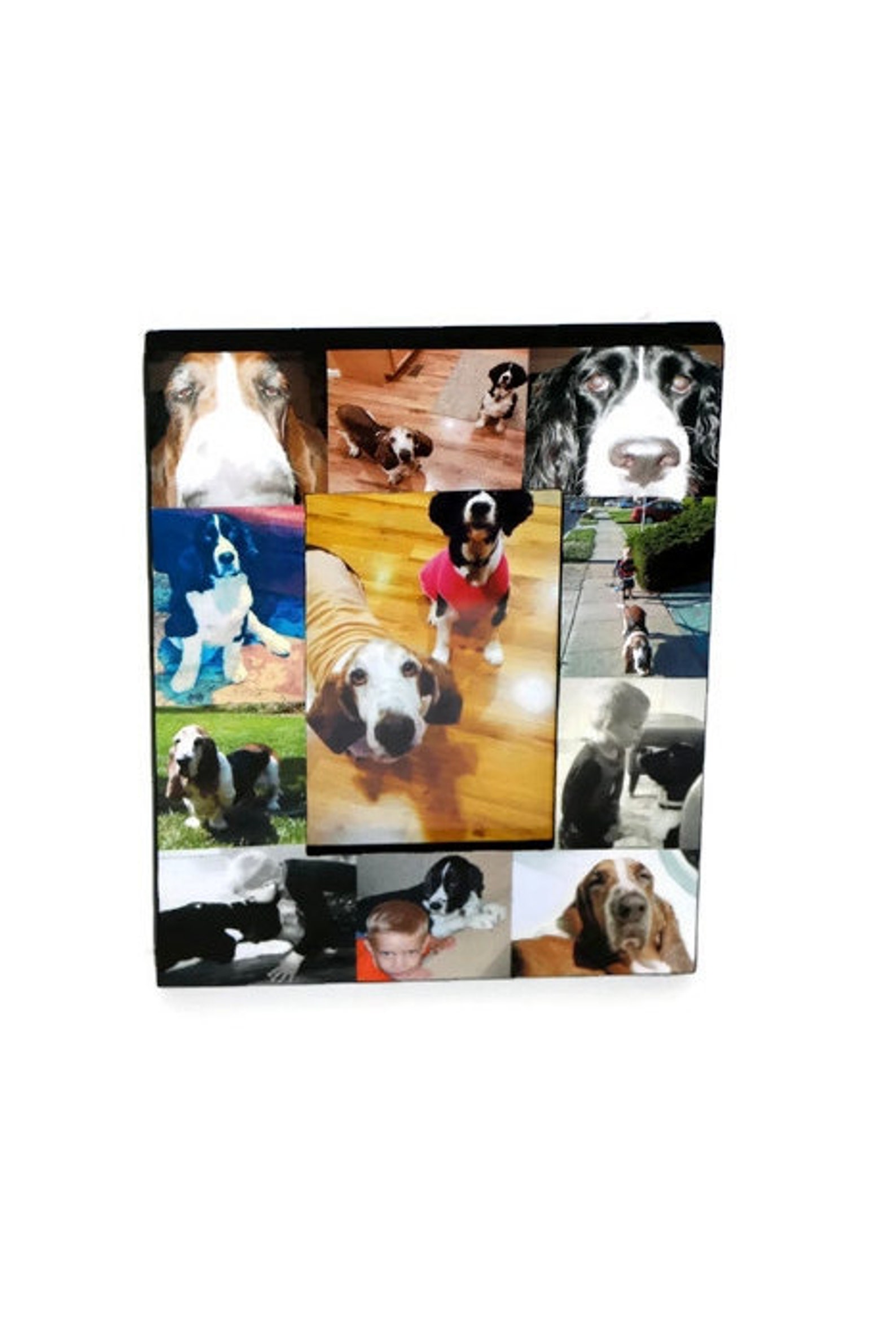 Pet Memorial Collage Picture Frame in Loving Memory Pet Frame Etsy