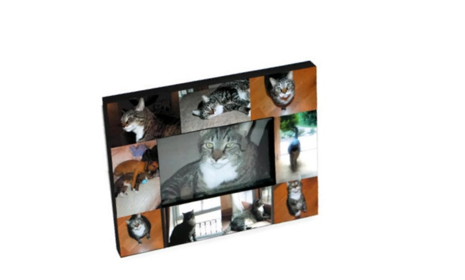 Pet Memorial Collage Picture Frame in Loving Memory Pet Frame Etsy