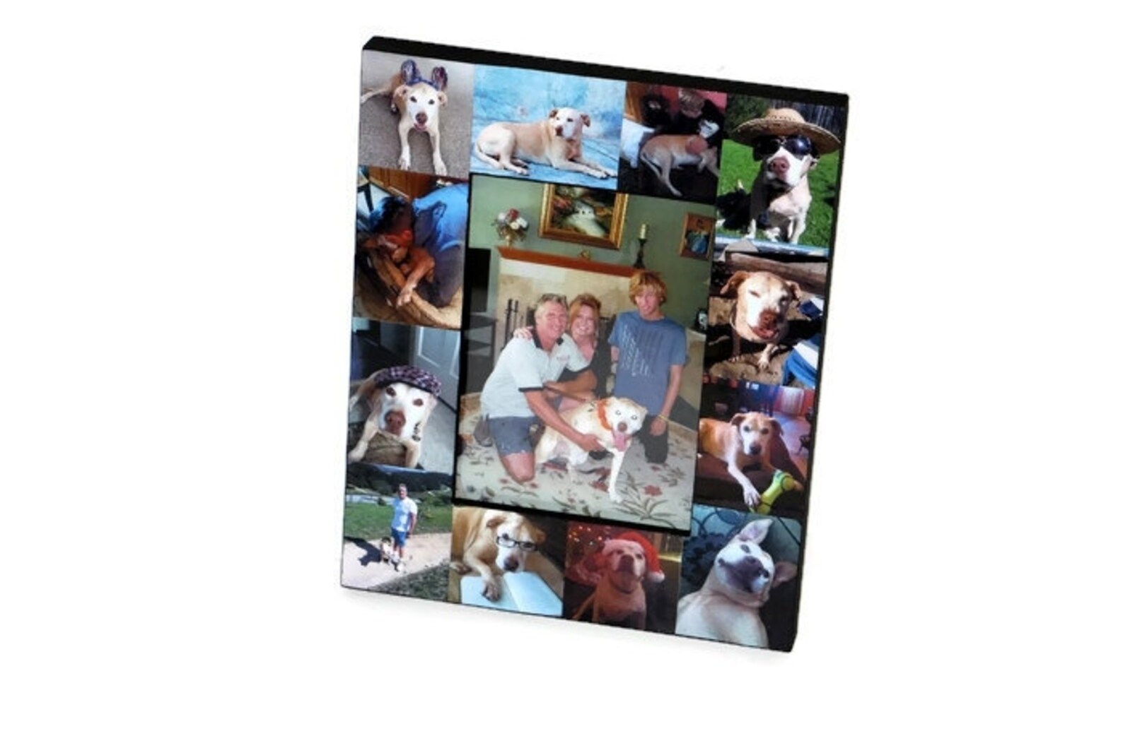 Pet Memorial Collage Picture Frame in Loving Memory Pet Frame Etsy