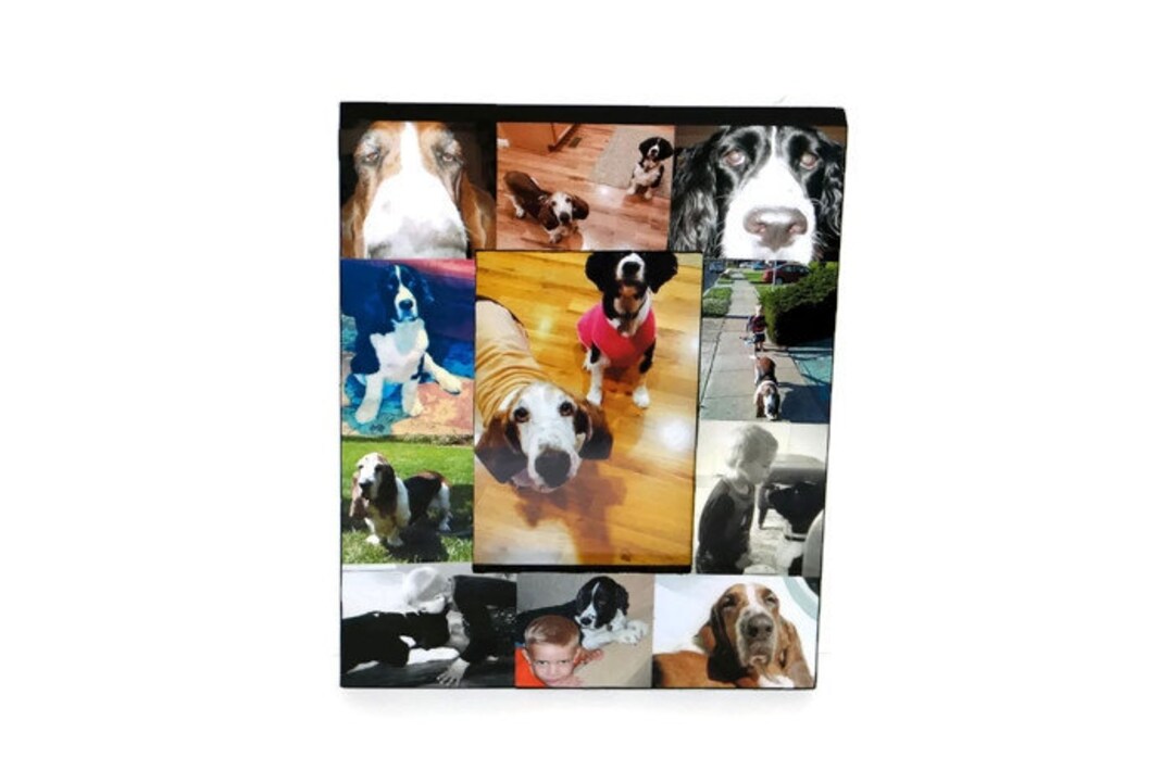 Pet Memorial Collage Picture Frame in Loving Memory Pet Frame Etsy