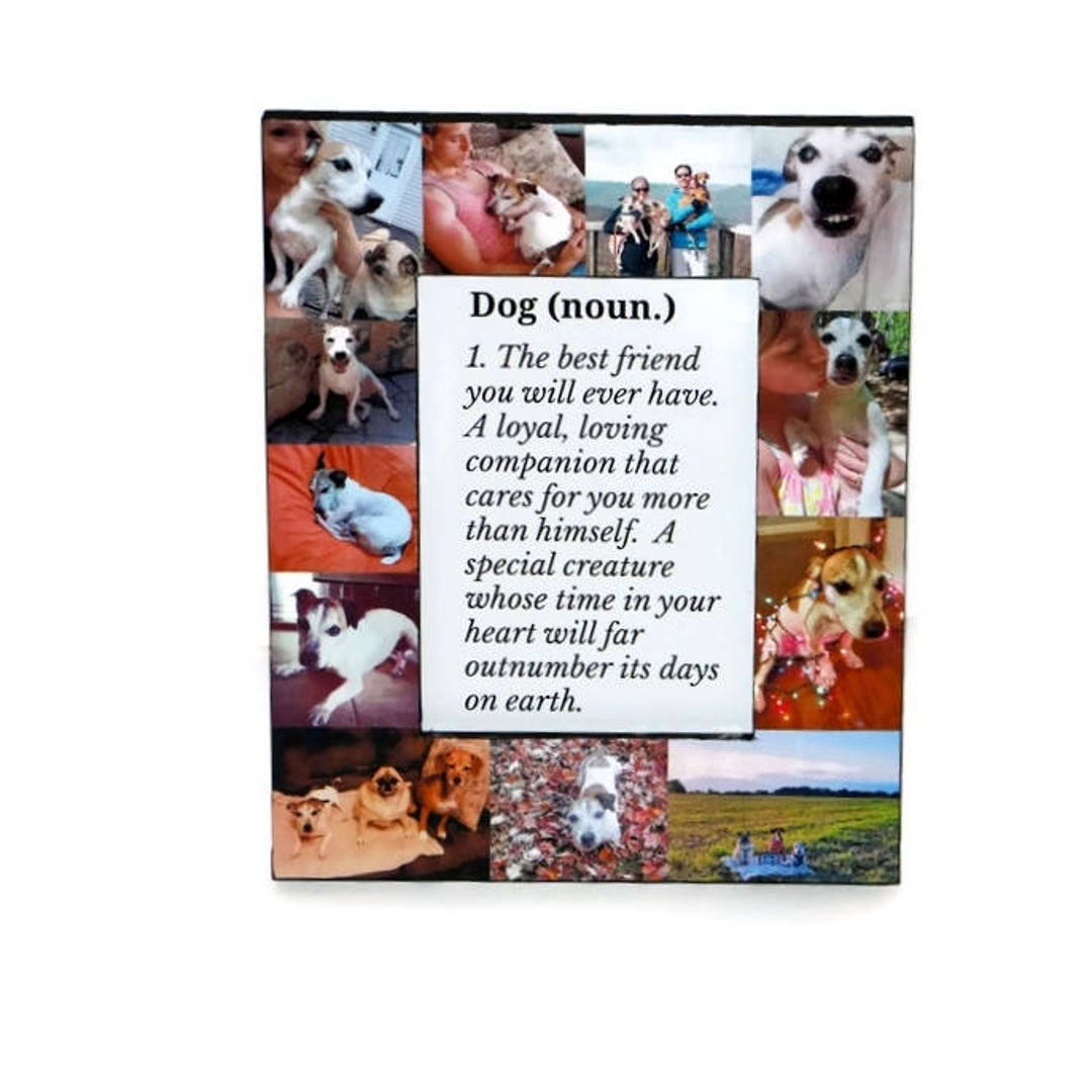 Definition of a Dog Man's Best Friend Pet Memorial Frame Pet Frame in