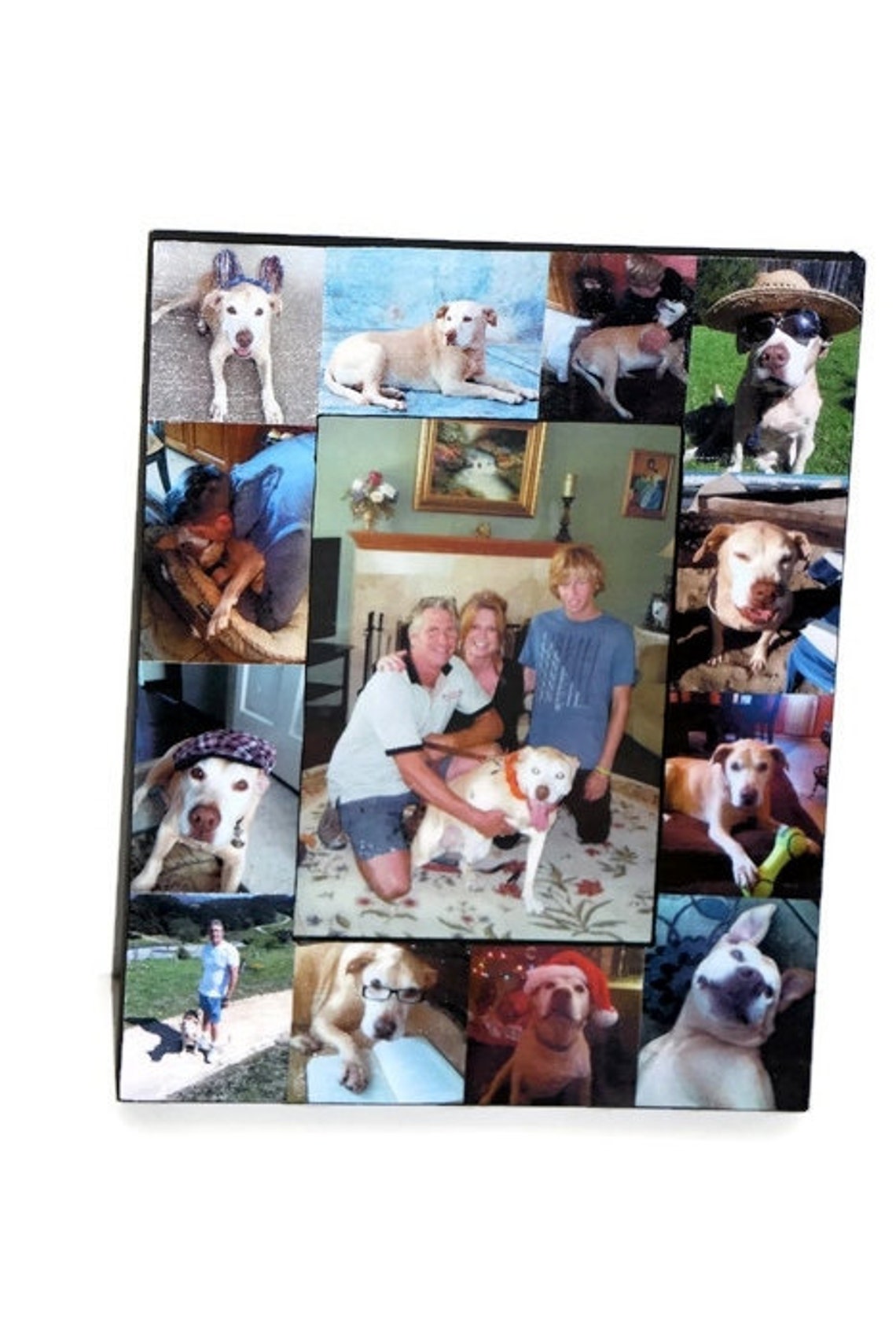 Pet Memorial Collage Picture Frame in Loving Memory Pet Frame Etsy