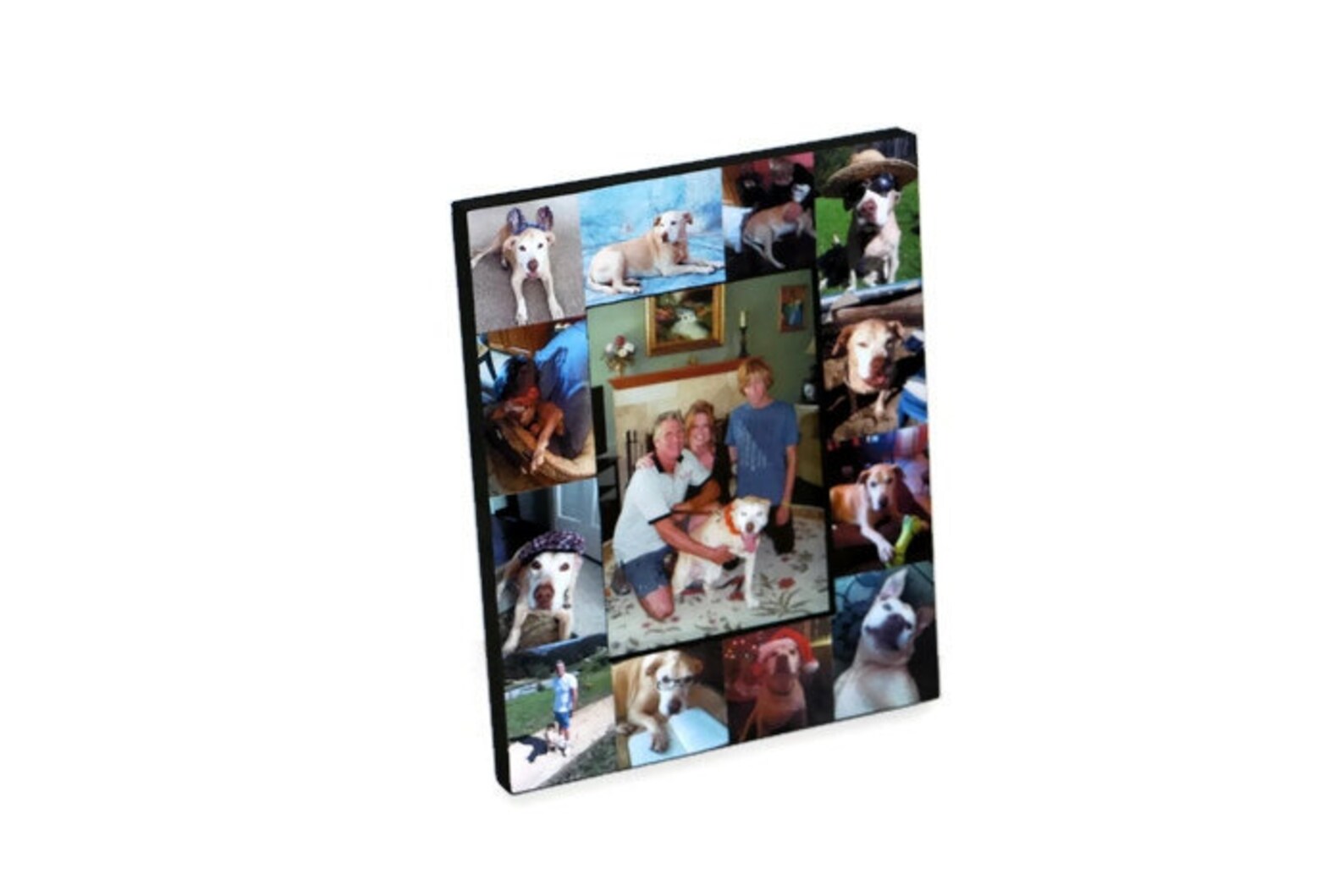 Pet Memorial Collage Picture Frame in Loving Memory Pet Frame Etsy