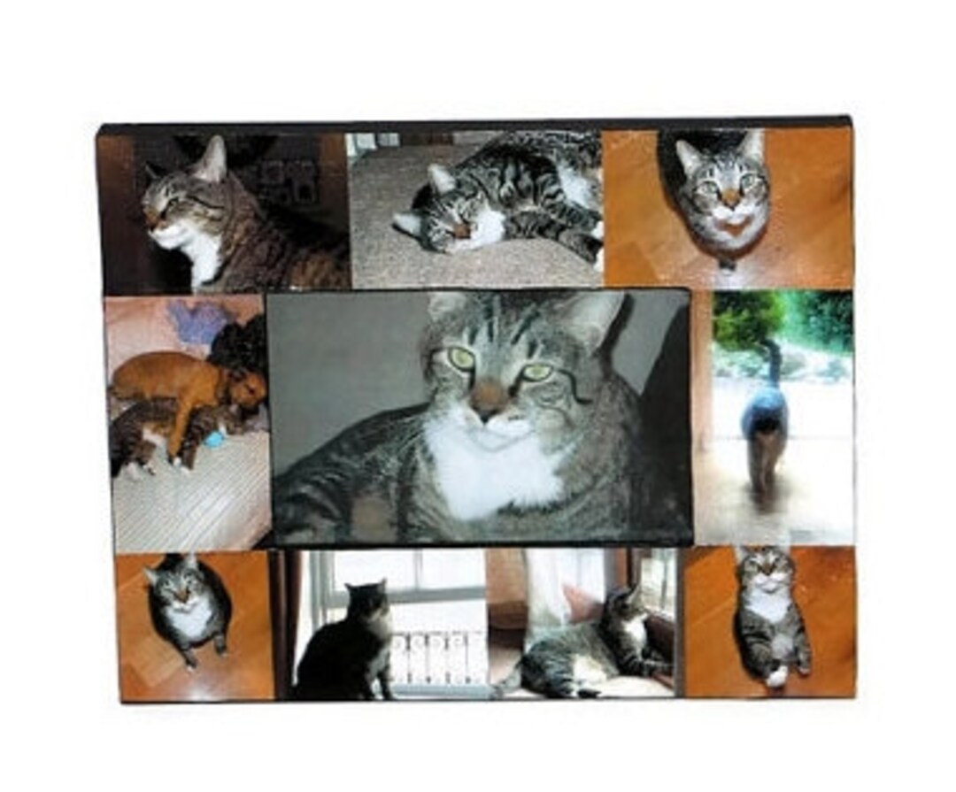 Pet Memorial Collage Picture Frame in Loving Memory Pet Frame Rainbow