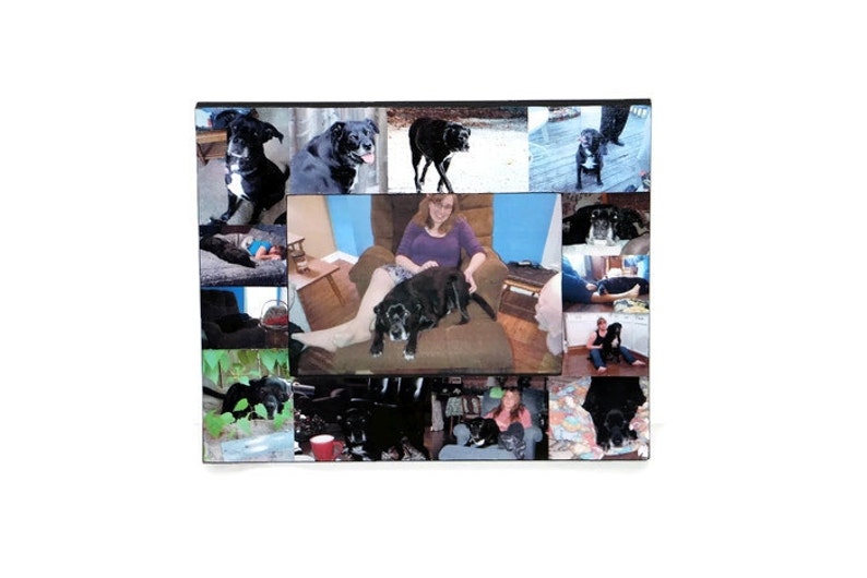 Pet Memorial Collage Pet Frame Personalized Picture in Loving Etsy