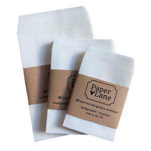 May include: Three white paper envelopes with brown labels. The label on the smallest envelope reads "Paper Lane" with a heart symbol and the text "60 peel and seal glassine envelopes biodegradable * recyclable made in the UK".