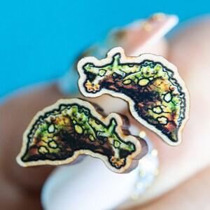 Sea Hare jewelry, Sea hare earrings, Aplysia dactylomela, Sustainable wood jewelry, wood studs, wood pin, Eco friendly studs