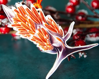 The opalescent Nudibranch (Hermissenda crassicornis) Nudibranchs ornament, sea Slug Ornaments, Scuba diver gift, Marine Biologist Christmas