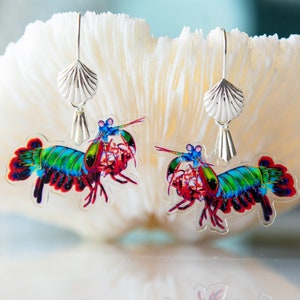 Peacock Mantis Shrimp Recycled Charms,scuba diver gift, shrimp earrings, shrimp necklace, image 1