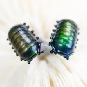 Color Changing titanium isopod earrings, hypoallergenic earrings, wood louse, rolly polly bug earrings