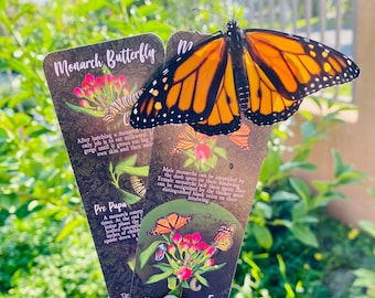 Monarch Lifecycle Boomark, Monarch Science, Science Bookmark, Lepidopterology gift, Butterfly Bookmark