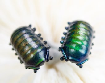 Color Changing titanium isopod earrings, hypoallergenic earrings, wood louse, rolly polly bug earrings