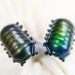 see more listings in the Creature Stud Earrings section