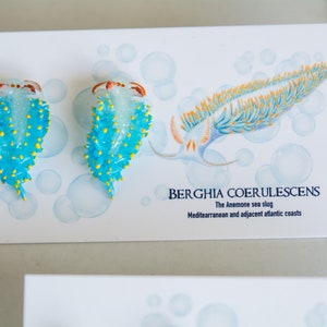 Berghia coerulescens, the anemone sea slug, Glow in the dark Nudibranch Earrings, Beach Jewelry, Gift for Diver, scuba diver earrings image 6