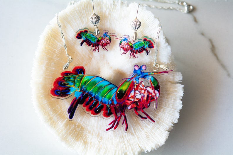 Peacock Mantis Shrimp Recycled Charms,scuba diver gift, shrimp earrings, shrimp necklace, image 8