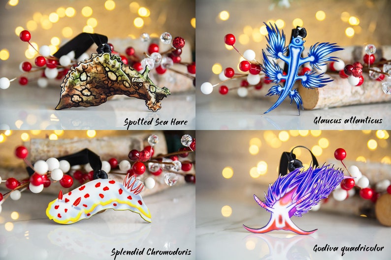 Adornos personalizables de nudibranquios y babosas marinas, regalo para buceadores, biólogo marino, Navidad. imagen 4