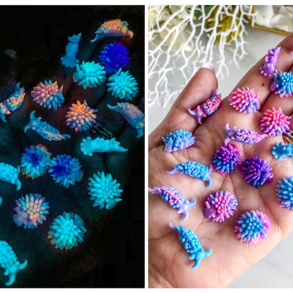 MYSTERY nudibranchs! Glow in the dark or UV color change!