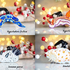 Adornos personalizables de nudibranquios y babosas marinas, regalo para buceadores, biólogo marino, Navidad. imagen 3
