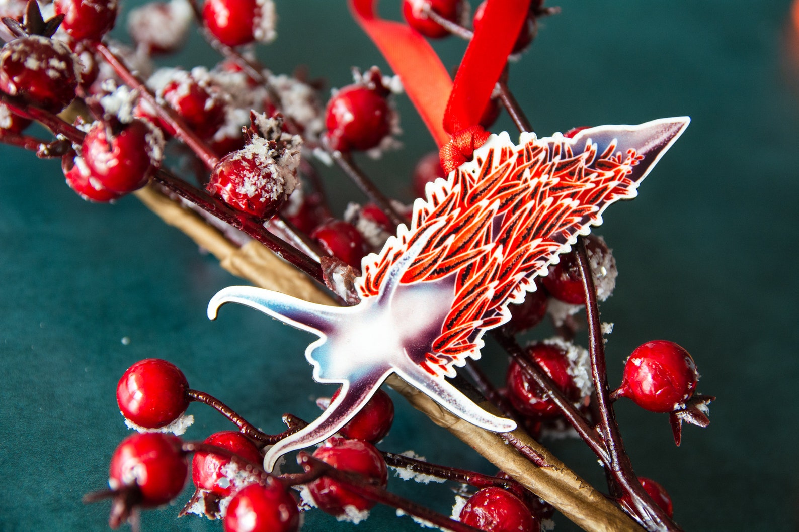 Red Flabellina Ornament