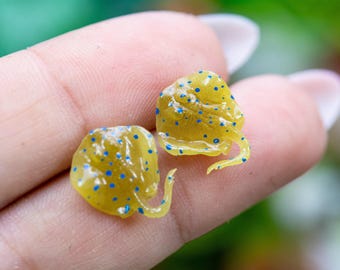 Blue Spotted Stingray Earrings: Glow in the Dark, Hypoallergenic Titanium