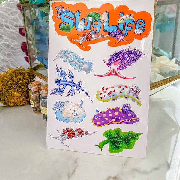 Glossy Slug life, nudibranch sticker sheet, 4x6 sticker sheet