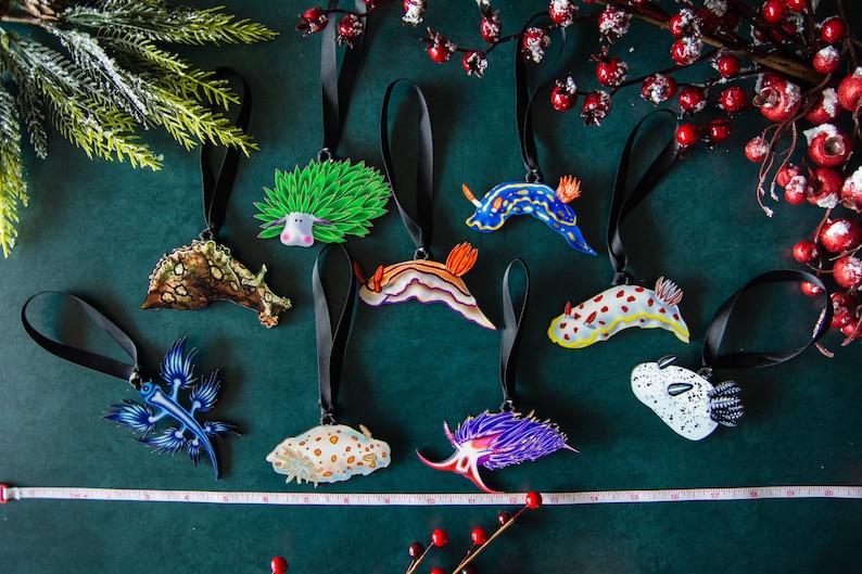 Puede incluir: Una colecci&oacute;n de adornos de babosas marinas coloridas con cintas negras. Los adornos presentan varios dise&ntilde;os, incluyendo patrones azules, naranjas y blancos. El fondo es de color verde oscuro, con ramitas de vegetaci&oacute;n y bayas rojas.