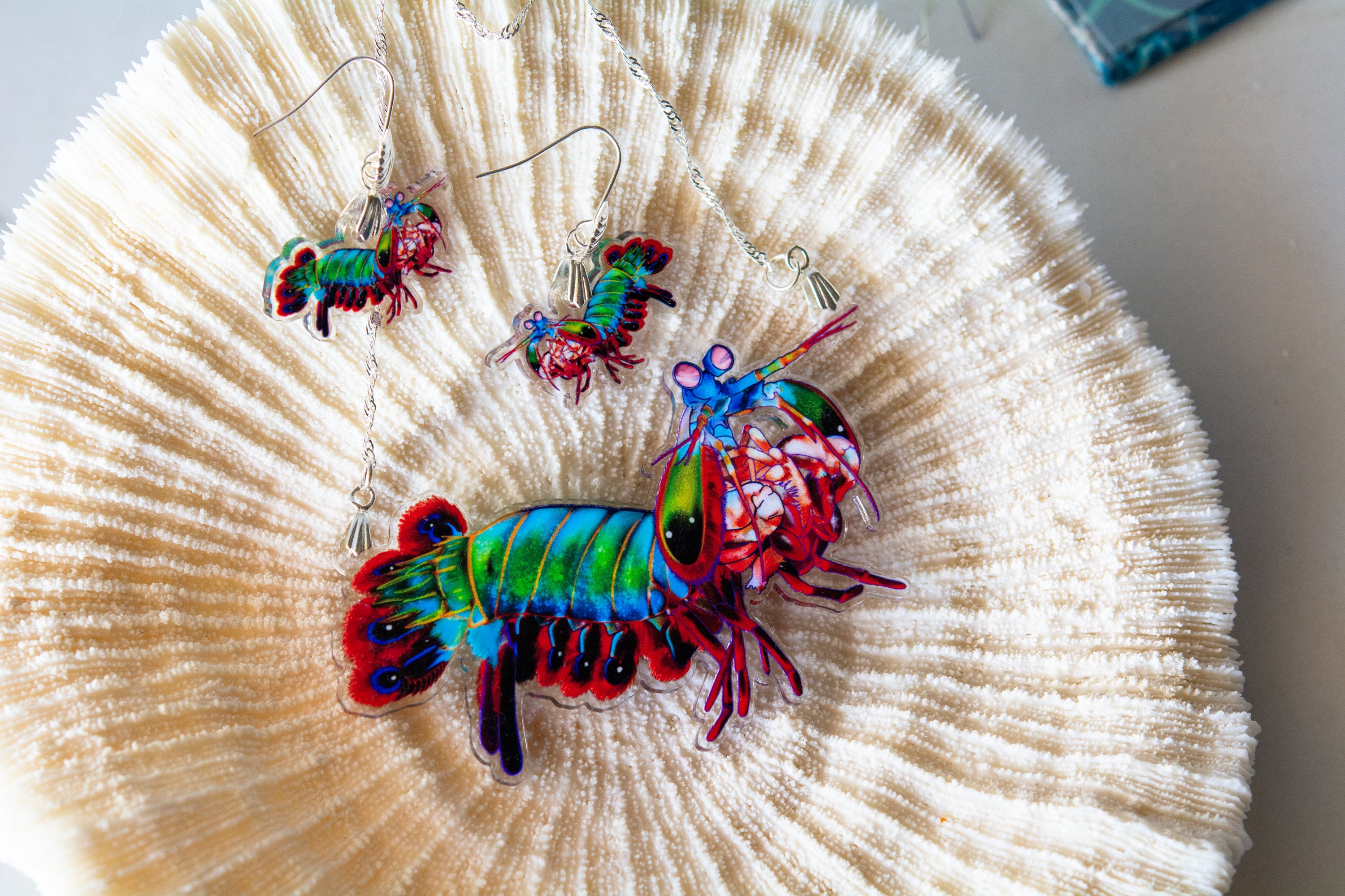 SHRIMPS ヘアピン Shrimps バレッタ ヘアピン SHRIMPS ヘアピン ククシュゼット 正規商品