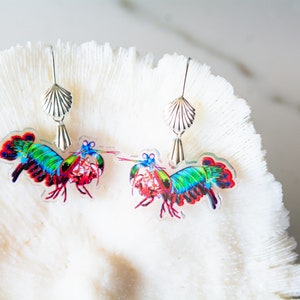 Peacock Mantis Shrimp Recycled Charms,scuba diver gift, shrimp earrings, shrimp necklace, image 7