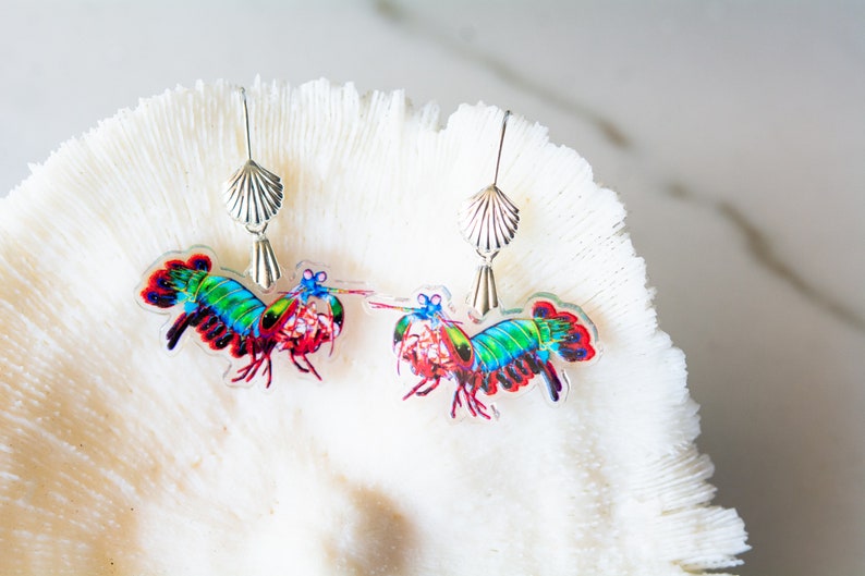 Peacock Mantis Shrimp Recycled Charms,scuba diver gift, shrimp earrings, shrimp necklace, image 7