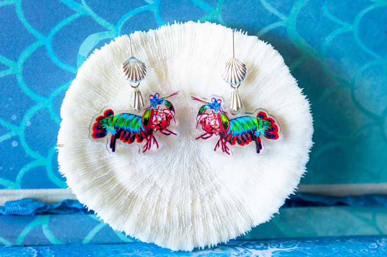 Peacock Mantis Shrimp Recycled Charms,scuba diver gift, shrimp earrings, shrimp necklace, image 9