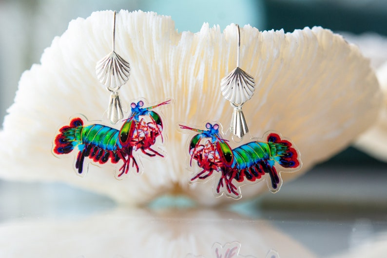 Peacock Mantis Shrimp Recycled Charms,scuba diver gift, shrimp earrings, shrimp necklace, image 1