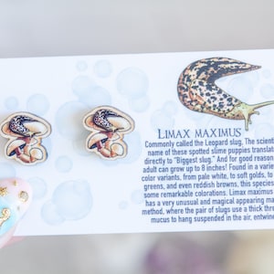 Leopard Slug Limax maximus and Mushrooms Sustainable wood jewelry, wood studs, wood pin, Eco friendly studs image 1