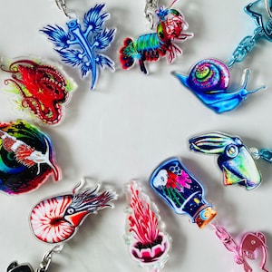 Mix and Match UV Light Keychains with limited edition fish clasps, Ocean keychains, Sea life, Mantis Shrimp, Nudibranch, Jellyfish, Octopus