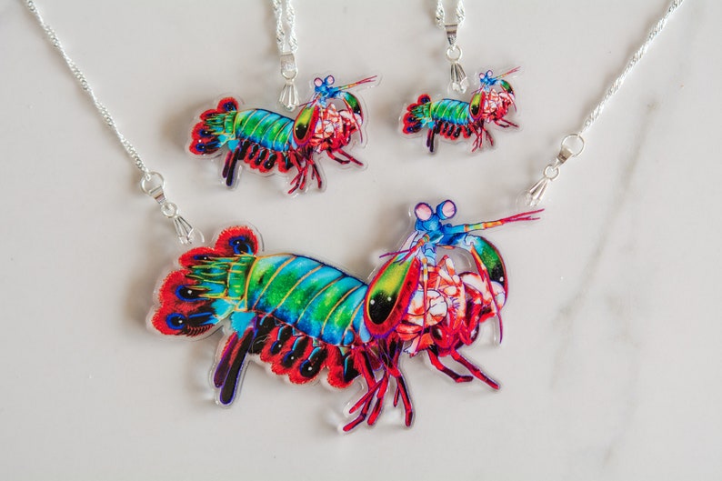 Peacock Mantis Shrimp Recycled Charms,scuba diver gift, shrimp earrings, shrimp necklace, image 2