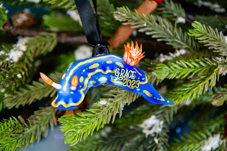 Adornos personalizables de nudibranquios y babosas marinas, regalo para buceadores, biólogo marino, Navidad. imagen 2