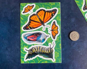 Monarch Life Cycle Vinyl Sticker sheet, 4x6" Sticker sheet, caterpillar, chrysalis, Monarch butterfly