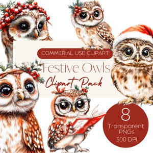 Pacchetto Clipart di gufi festivi / Gufo natalizio carino ad acquerello / Cappello di Babbo Natale e sempreverde / Illustrazione di animali per le feste / Uso commerciale
