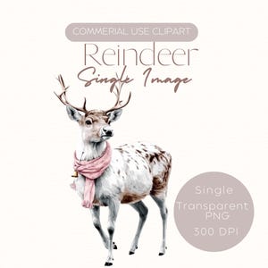 Rendier met roze sjaal, png PNGEgg | Realistische aquarel vakantie clipart | Feestdagdier | Leuk charmant winterontwerp | Commercieel gebruik