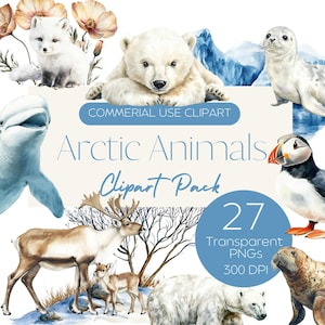 Pack de cliparts animaux de l'Arctique | Bébé animal d'hiver | Ours polaire macareux renne renard phoque béluga | 27 images PNG | 300 ppp | Utilisation commerciale