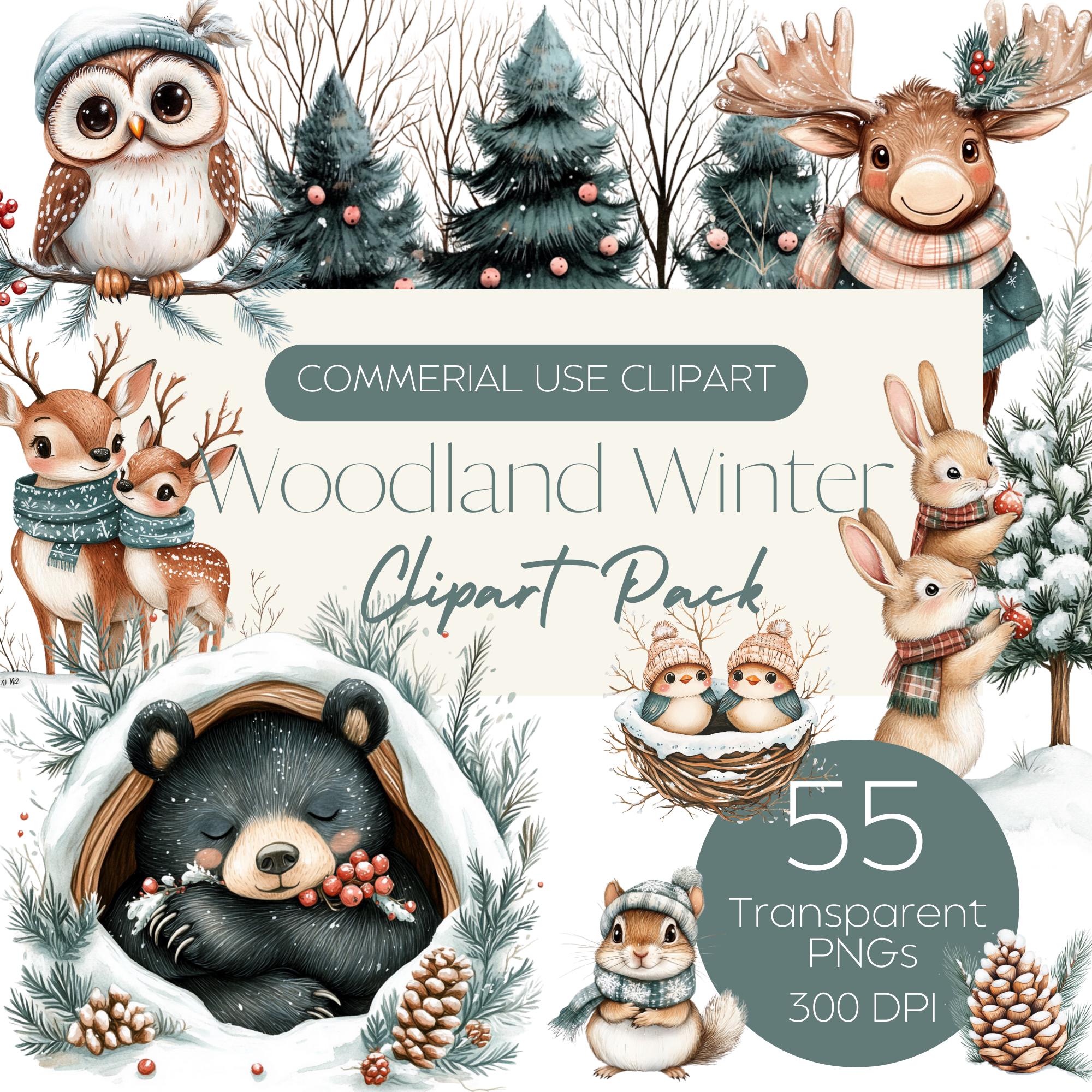 Woodland Winter Clipart Pack Cute Christmas Woodland Animals in Winter ...