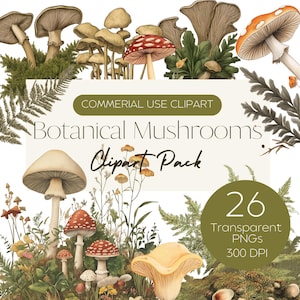 Botanische Pilze Clipart-Pack | Pilze und Farn Illustrationen in Botanischem Stil | Wald Kunst | Waldboden | Kommerzielle Nutzung PNG