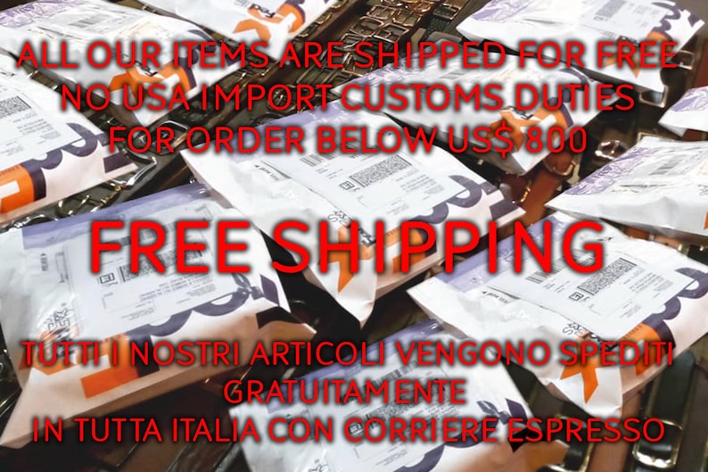 ALL OUR ITEMS ARE SHIPPED FOR FREE
NO USA IMPORT CUSTOMS DUTIES FOR ORDER BELOW US$ 800