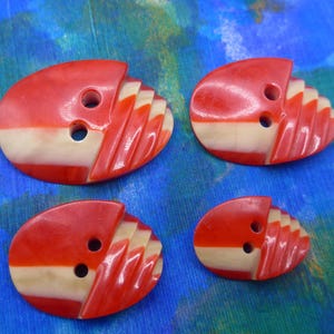 Puede incluir: Cuatro botones ovalados de diferentes tama&ntilde;os. Cada bot&oacute;n es rojo con una franja crema y un dise&ntilde;o tallado en forma de abanico. Los botones tienen dos agujeros para coser y est&aacute;n sobre un fondo azul.