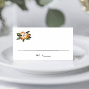 PRINTED Little Cutie Baby Shower Place Cards, Orange Blossom Table Cards, Little Cutie Shower Buffet Table Cards image 1