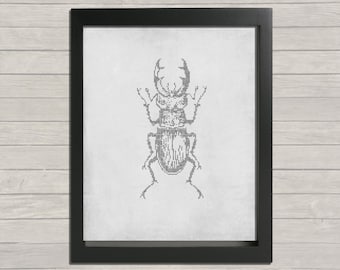 Horned Beetle Printable Art, PDF print, Instant download, Home decoration, Wall art