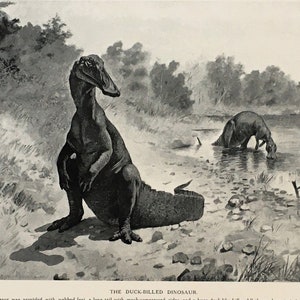 HADROSAURUS DINOSAUR, Antique Natural History Print. 1920 Black & White Lithograph, Wall Hanging, Home Decor image 1