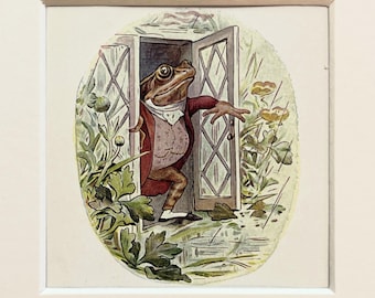 20 x Tale of Jeremy Fisher by Beatrix Potter - 20 Vintage Colour Prints